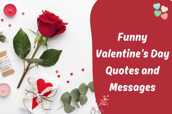 Exploring Funny Valentine's Day Quotes and Messages