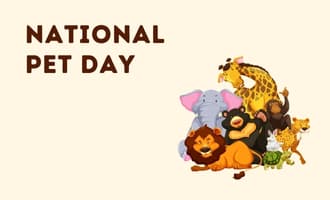 National Pet Day group greeting cards