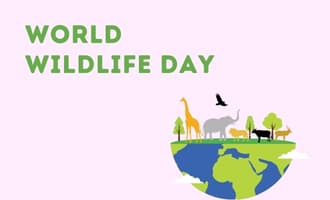 World Wildlife Day group greeting cards