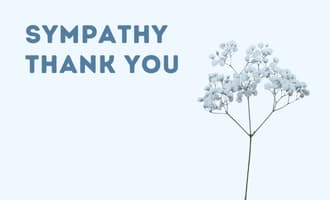 Sympathy Thank You group greeting cards