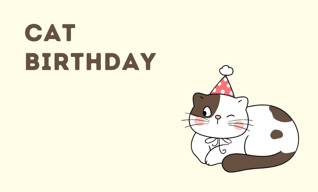 Cat Birthday group greeting cards