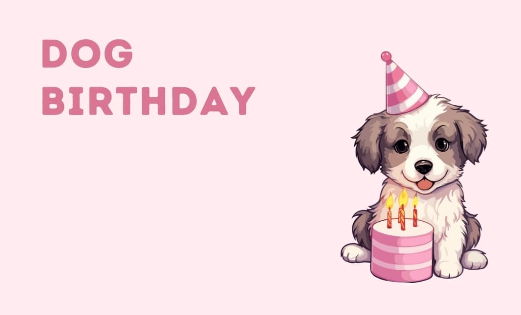 Dog Birthday group greeting cards