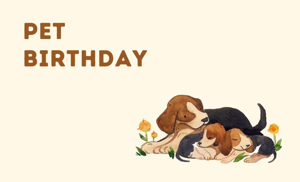 pet birthday group greeting cards