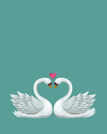 Love Birds
