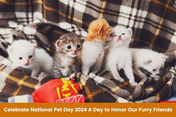 Celebrate National Pet Day: A Day to Honor Our Furry Friends