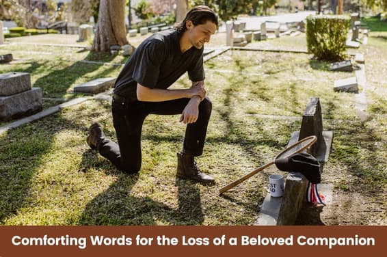 Pet Sympathy: Comforting Words for the Loss of a Beloved Companion