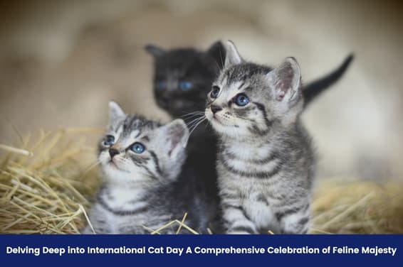 Delving Deep into International Cat Day: A Comprehensive Celebration of Feline Majesty