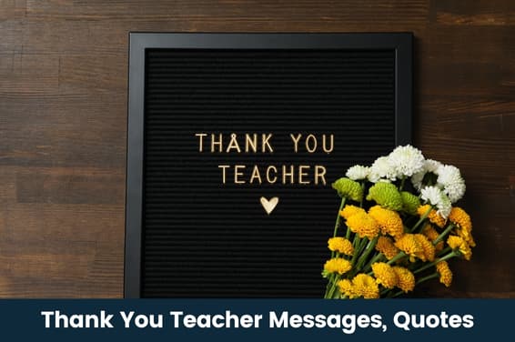 300+ Thank You Teacher Messages, Quotes, and Sayings