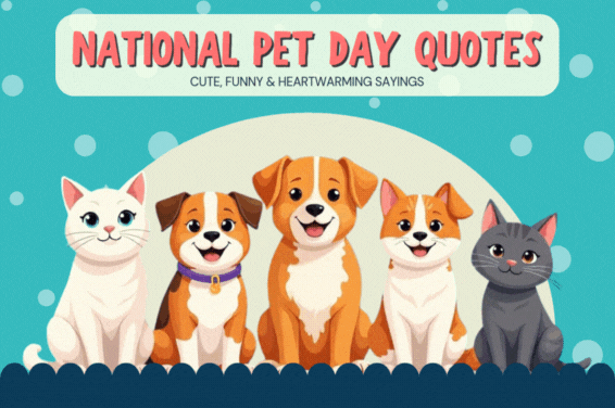 National Pet Day Quotes: Heartwarming, Funny & Cute Quotations to Celebrate Your Furry Friends