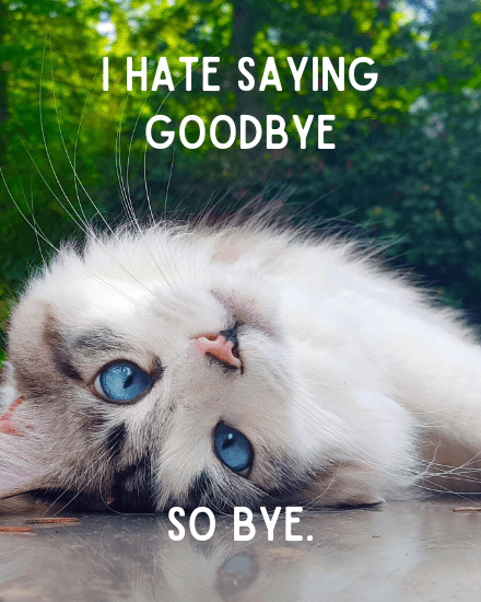 so leave so leave