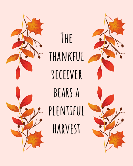 grateful grateful