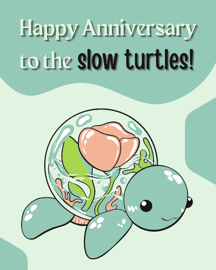 slow turtle slow turtle