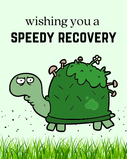 speedy recovery speedy recovery