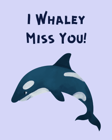 Whaley you Whaley you