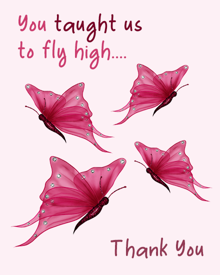 fly high fly high