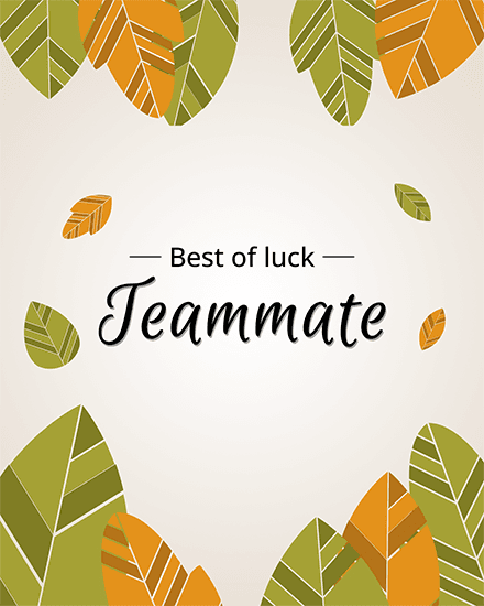 team mate team mate