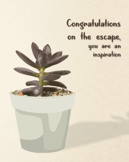 escape congrats escape congrats