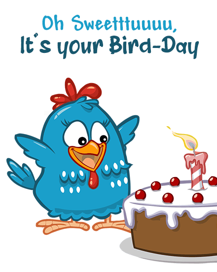 birdy cake birdy cake