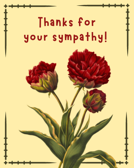 your roses your roses