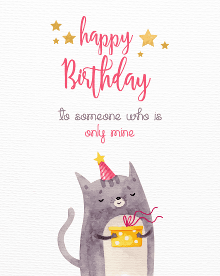 cat stars cat stars