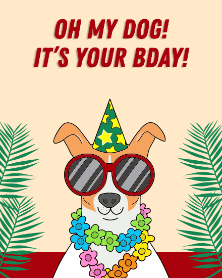 dog birthday dog birthday