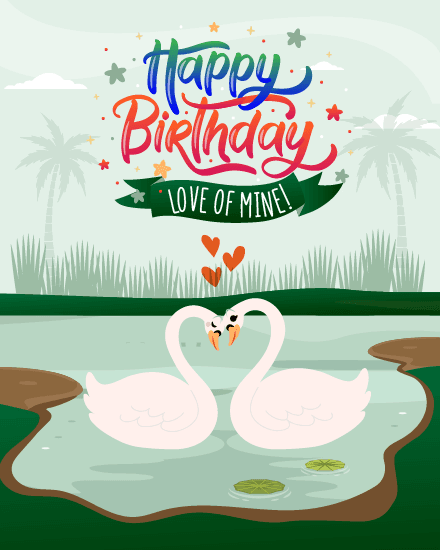 swan couple swan couple