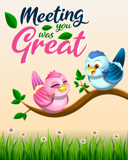 cute birds cute birds