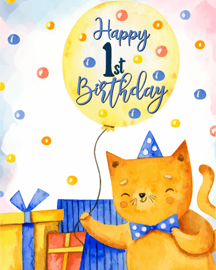 cute cat cute cat