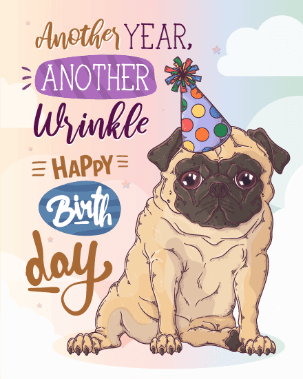 cute pug dog cute pug dog