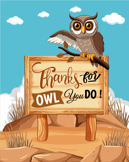 wise owl wise owl